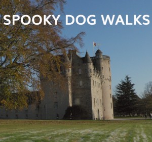 DOGBUDDY SPOOKY dog walkS