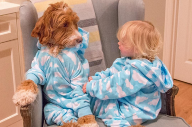 Labradoodle dog and a Toddler Child Wearing Matching outfits looking at eachother