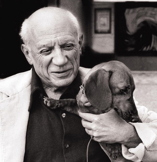 picasso and his wiener dogs dachshund