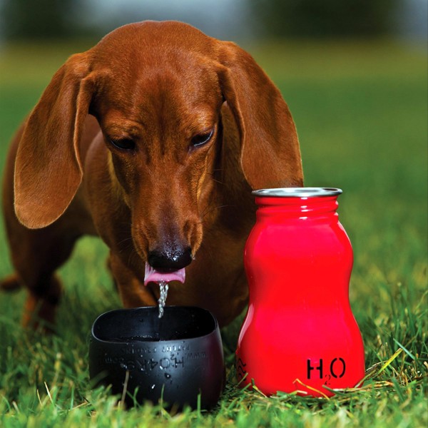 dog-h2o4k9 water bottle hiking dachshund