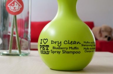 Lo shampoo secco Dry Clean di Pet Head
