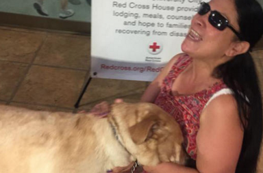 guide dog saves blind woman