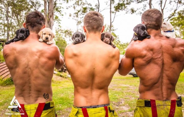 firefighters rescue puppies calendar australia
