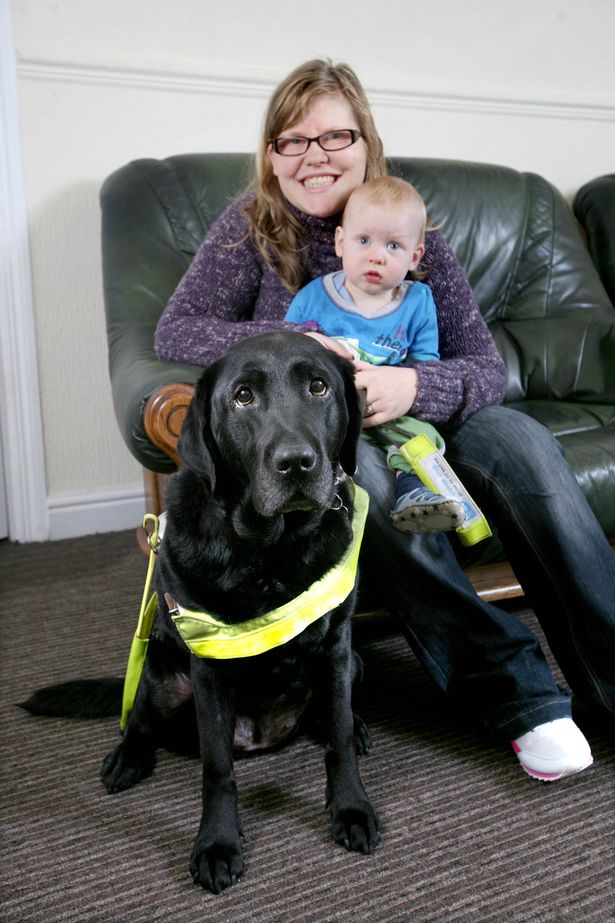 guide dog saves baby