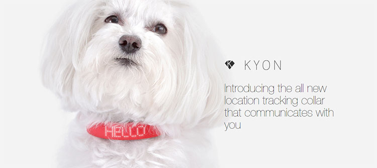 kyon smart dog collar