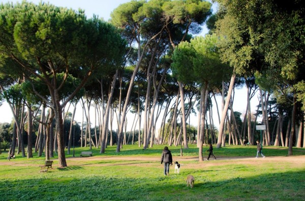 passeggiare con il tuo cane a roma villa pamphilj
