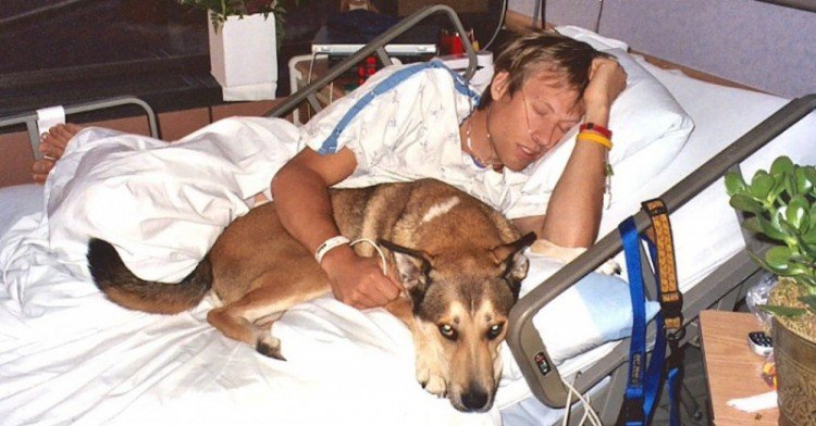 cane in ospedale con proprietario 