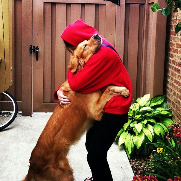 Cane e proprietario si abbracciano DogBuddy