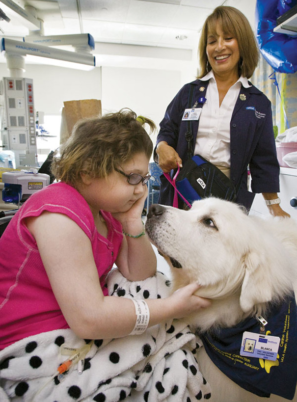 ospedale in canada permette ai cani di visitare i proprietari malati in ospedale