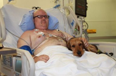 ospedale permette ai cani di visitare i loro proprietari in ospedale