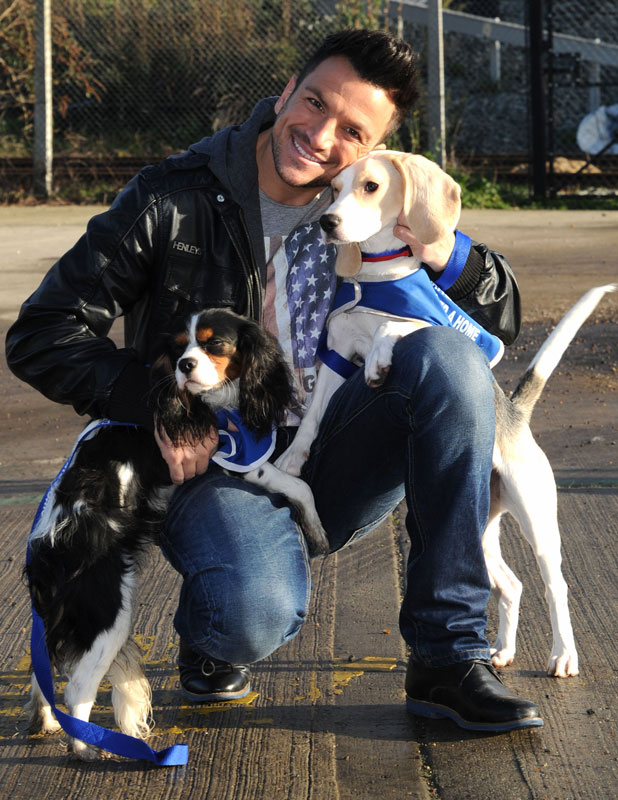 peter-andre-battersea-dogs