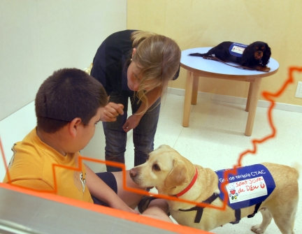 terapias asistidas con perros