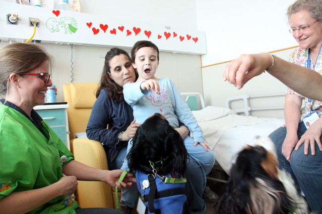 terapias asistidas con perros DogBuddy noticias