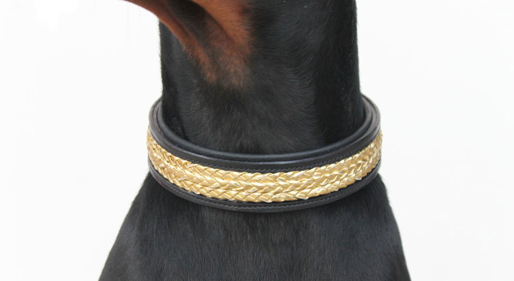 Black Gold Braided Leather Collar from Stampede Equestrian
