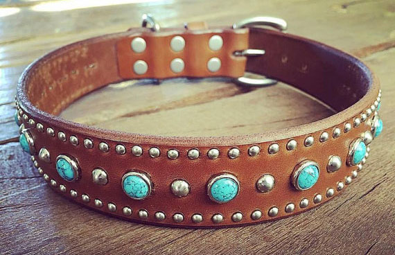 Brown leather turquoise stone studded dog collar