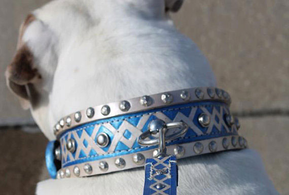 metalic blue champagne gold studded leather collar