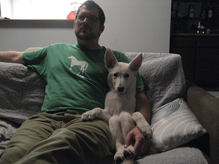 perro con propietario en sofá 