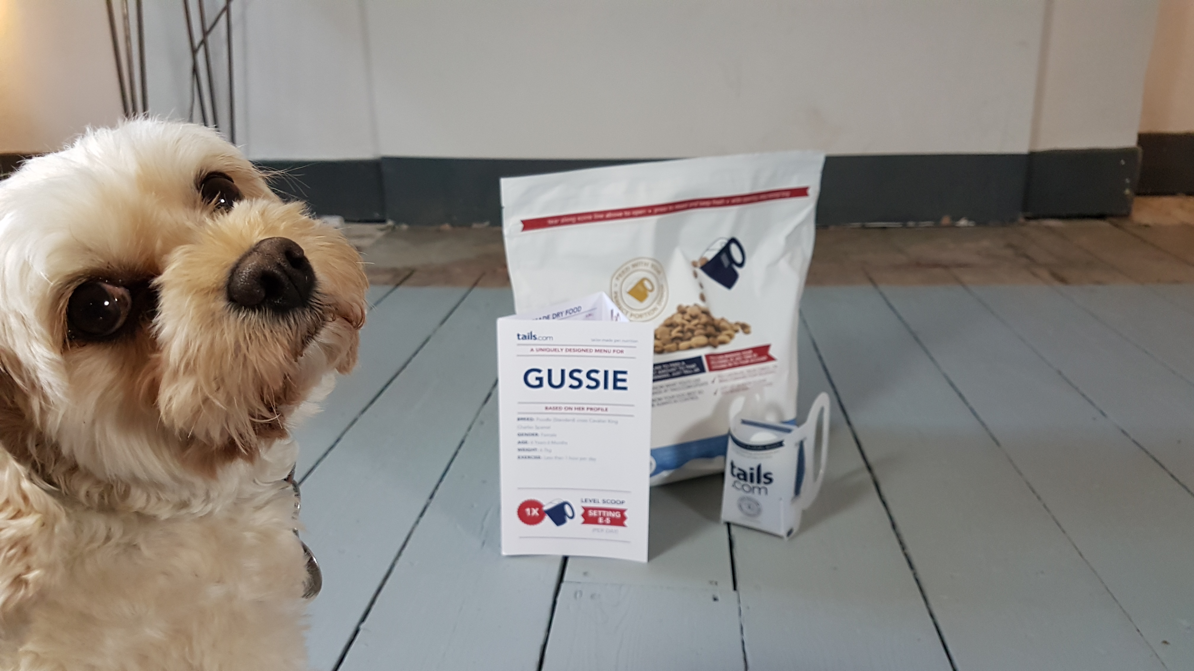 gussie-tails-dog-food-review