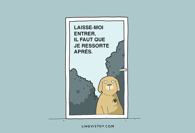 Lingvistov illustration chien