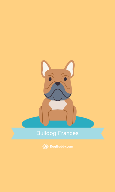french-bulldog-mobile-wallpaper-blog-image-es