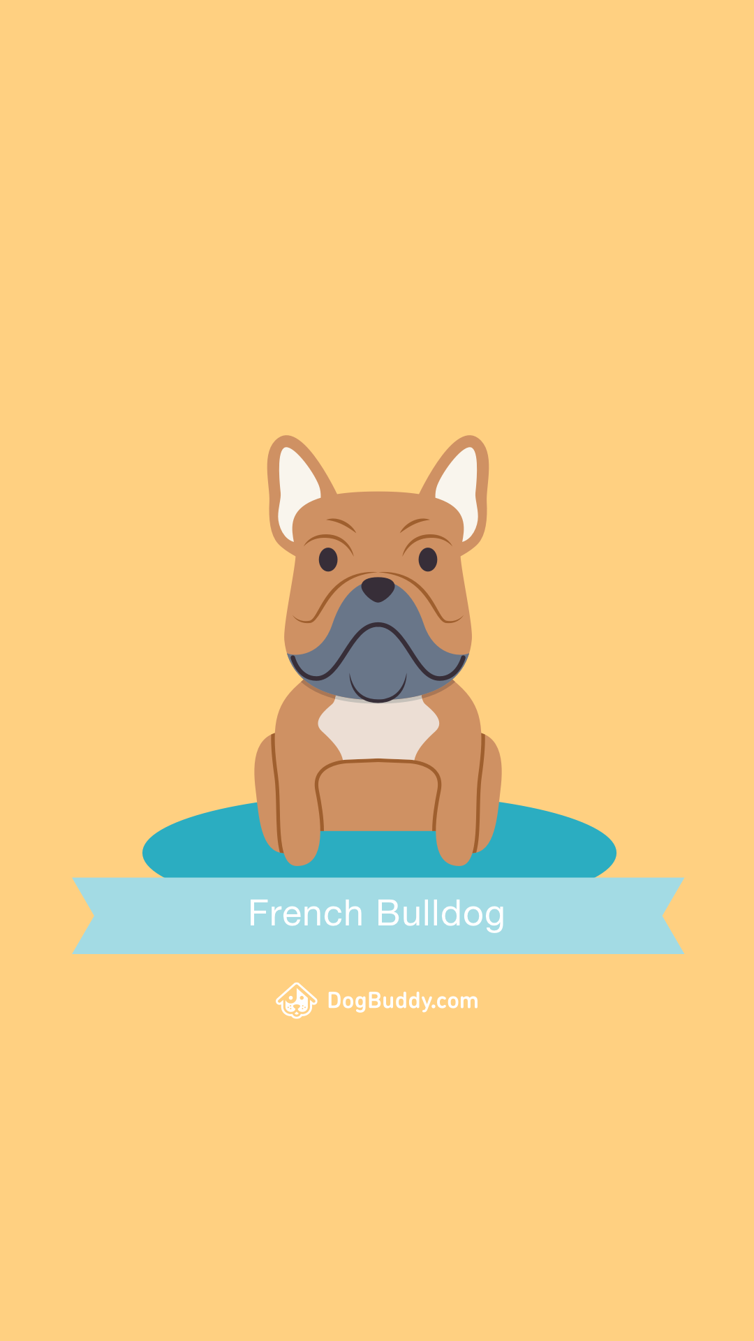 french bulldog wallpaper hd
