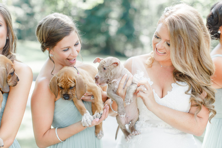 puppy-wedding-blog