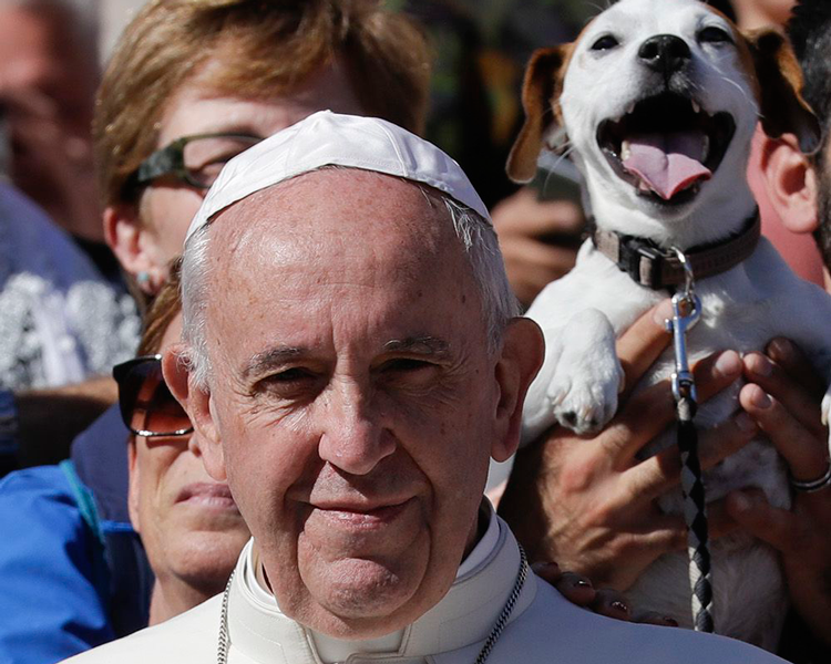 pope-pup