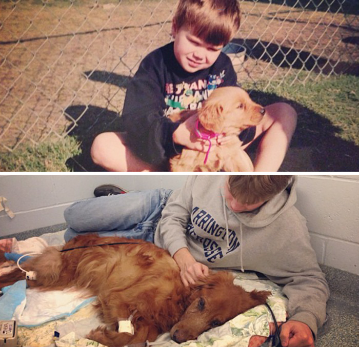 before-after-dogs-growing-up-together-with-owners-12-58256f61c48db__700