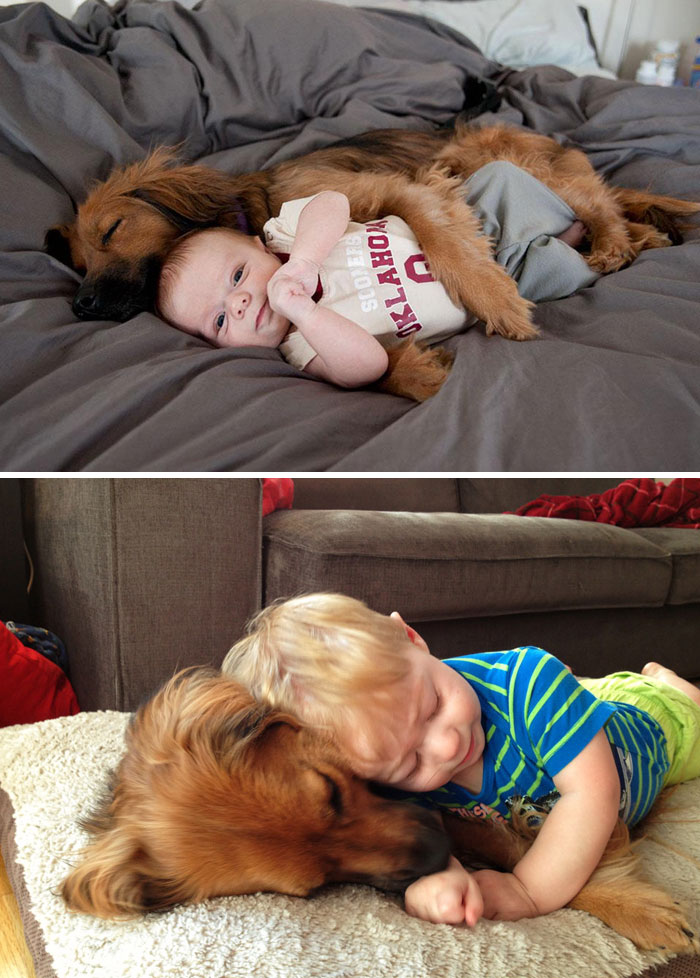 before-after-dogs-growing-up-together-with-owners-131-5829ab15b0d35__700