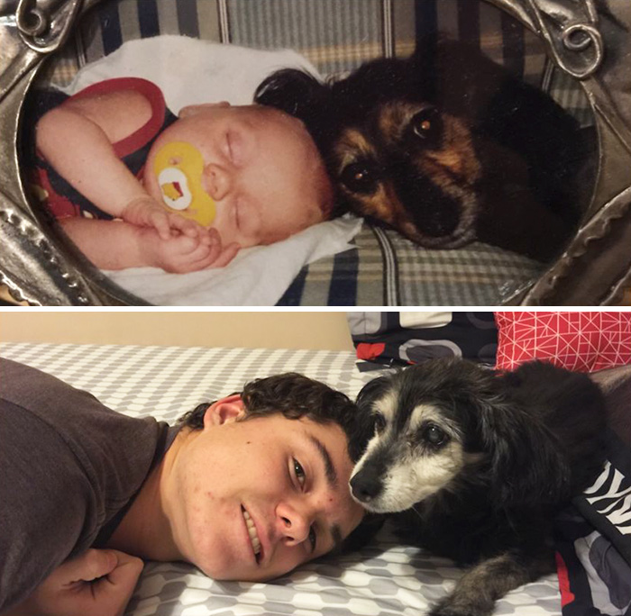 before-after-dogs-growing-up-together-with-owners-17-58256f6f13f4f__700