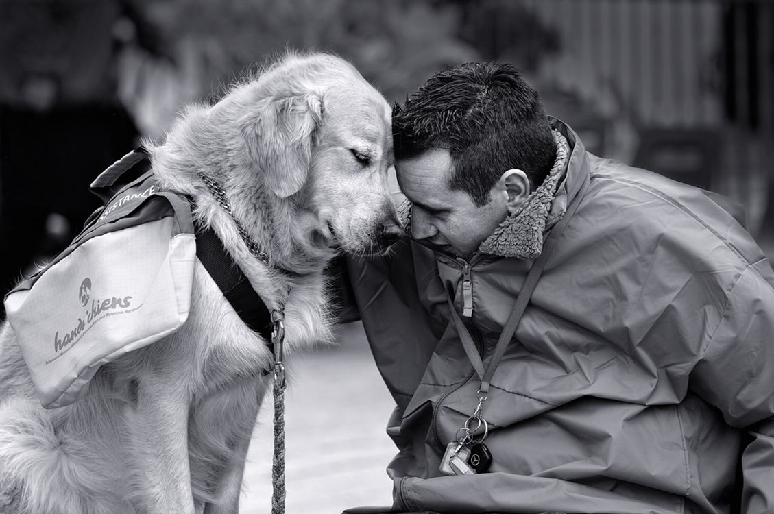12 momenti che dimostrano che i cani sono tutto amore - DogBuddy Blog
