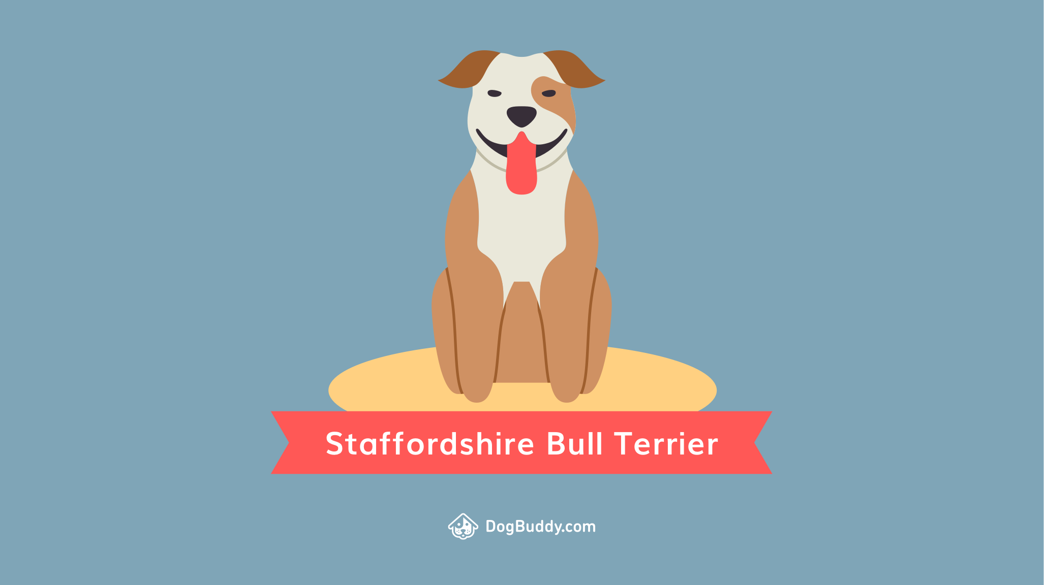 Guaufondo de pantalla: Staffordshire Bull Terrier - DogBuddy Blog