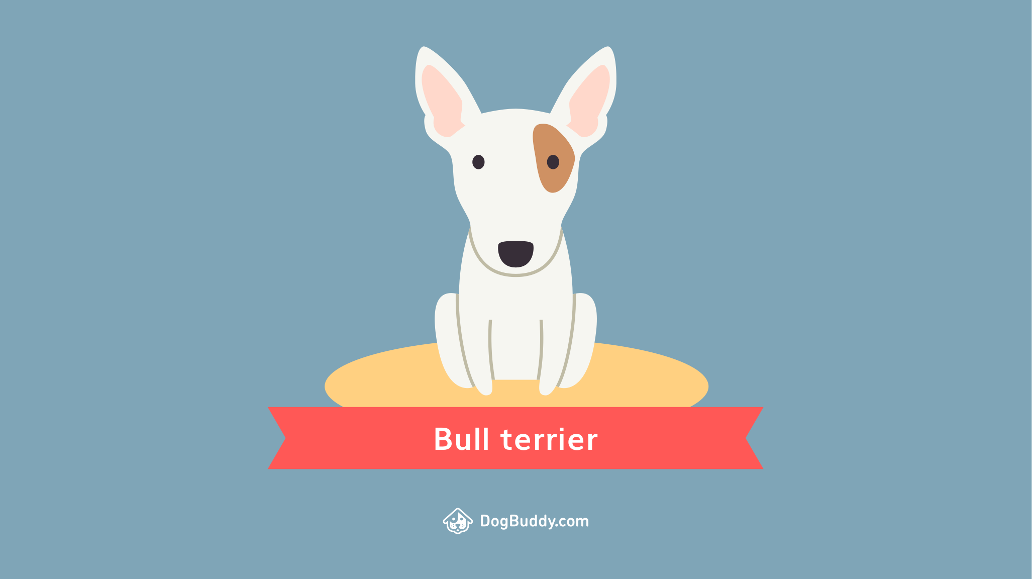 Guaufondo de pantalla: bull terrier - DogBuddy Blog