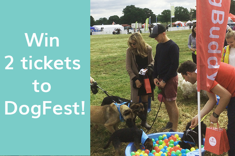 Win 2 Tickets to DogFest!