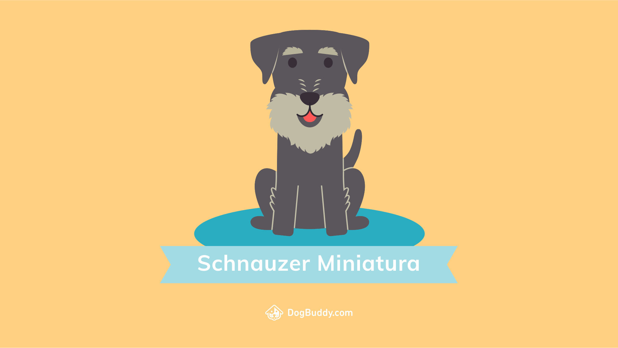 Guaufondo de pantalla: Schnauzer Miniatura - DogBuddy Blog