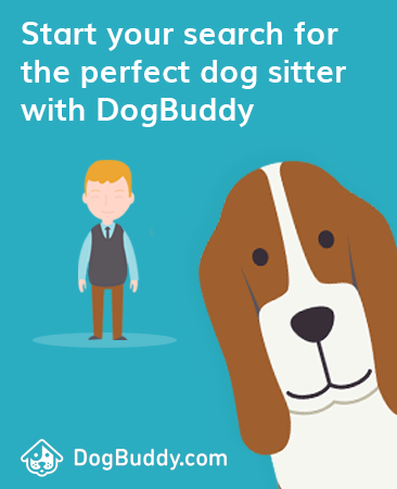 find your perfect dog sitter with DogBuddy