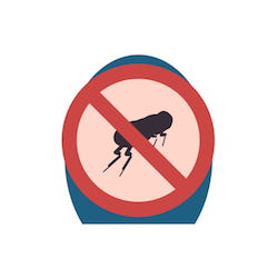 Flea prevention guide