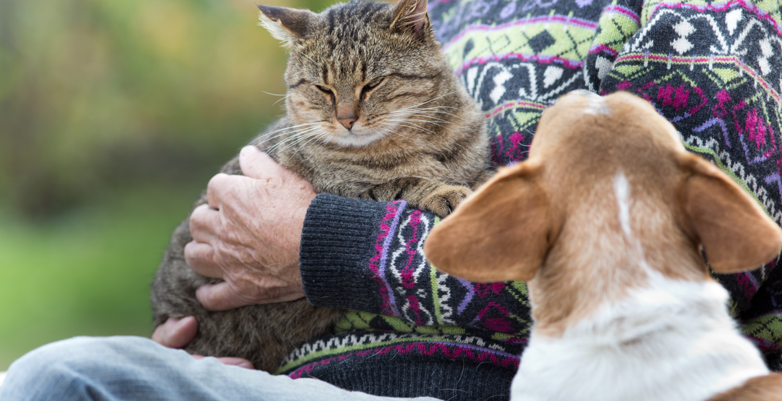 Cats and dogs: 7 tips for a good life together - Tractive Blog