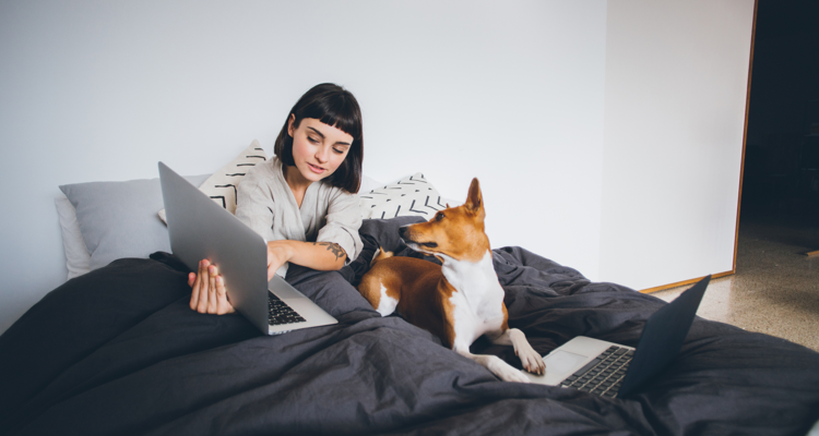 Woman in bed with her dog, both working on laptops